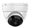 Panoramic IP Cameras